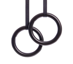 Гимнастические кольца